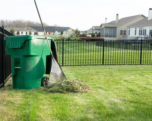 Yard Cleanup Service