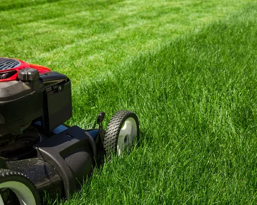 Lawn Mowing Service