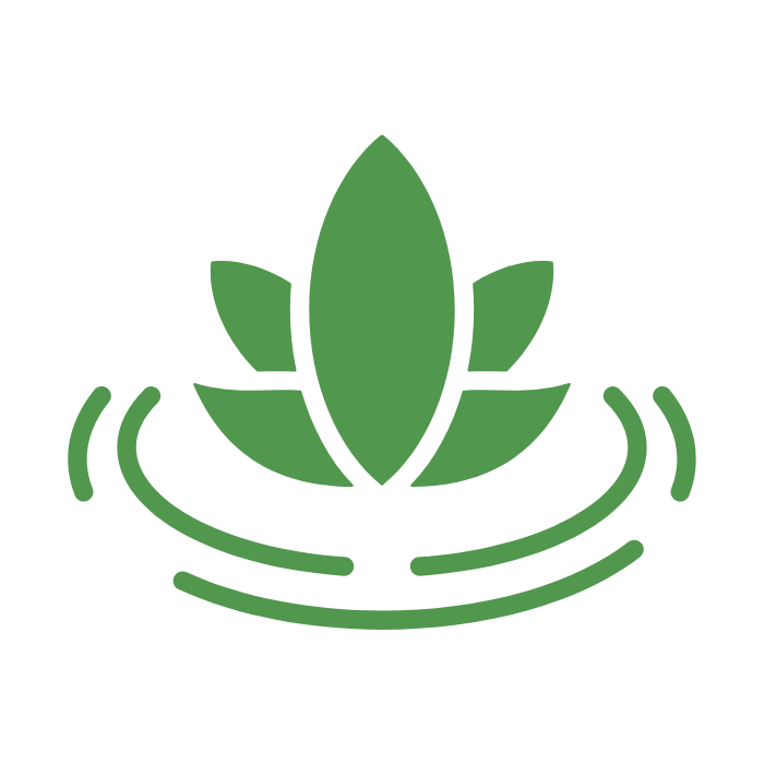calm welcoming learning environments