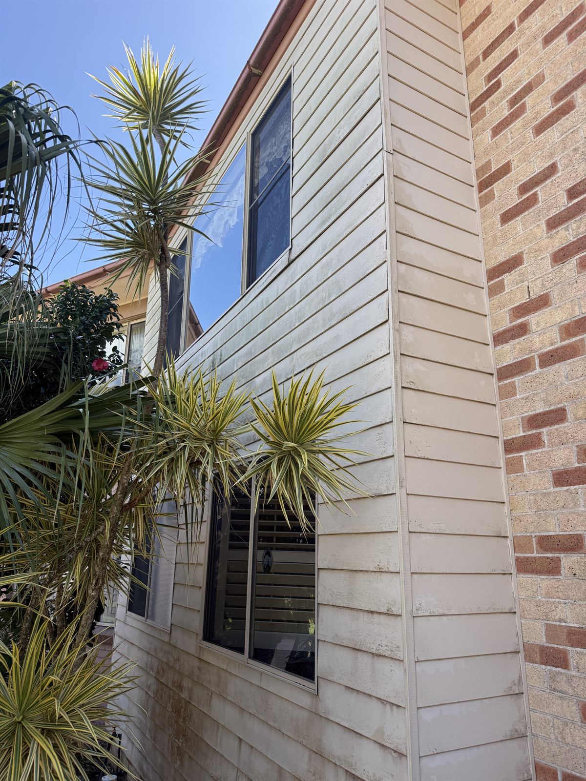 Exterior cladding before washing at a Shellharbour property, showing visible dirt and staining