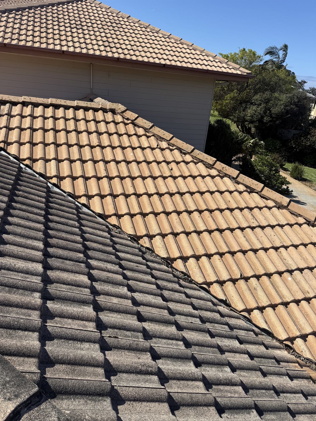 Roof tile detail from the Shellharbour exterior-cleaning project