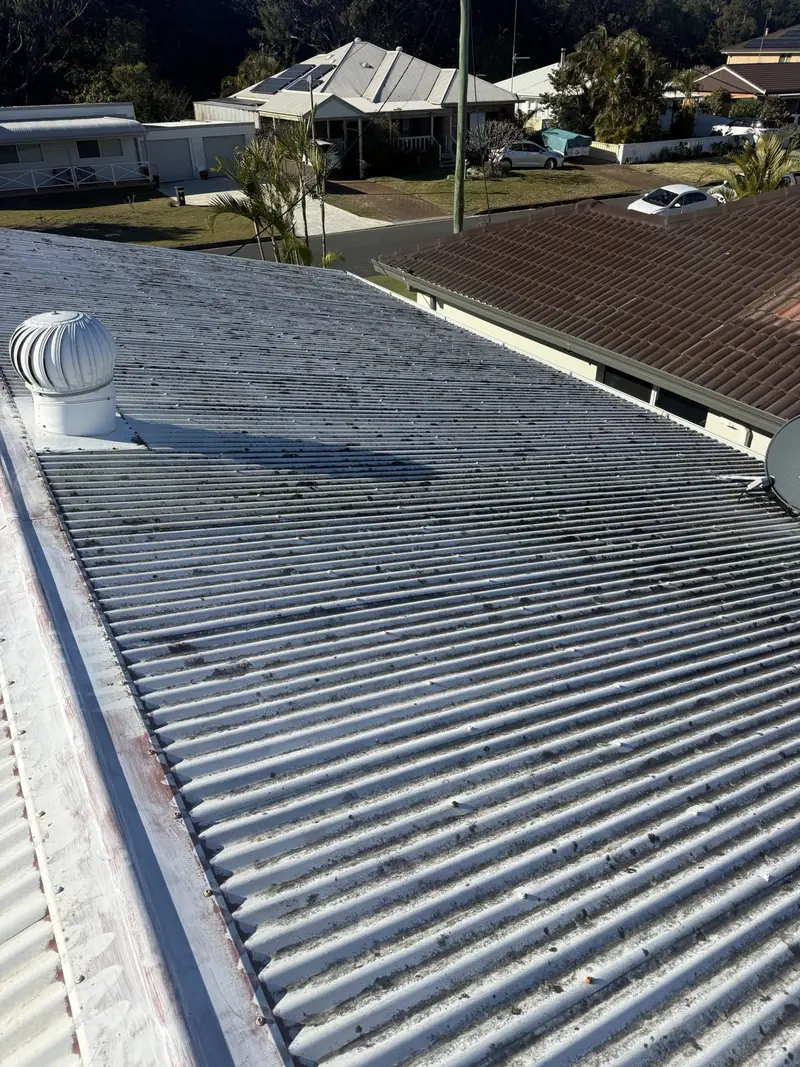 Corrugated metal roof with lichen before cleaning