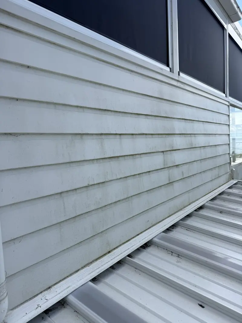 Weatherboard cladding before house washing in Thirroul