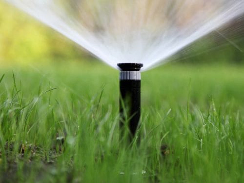 Irrigation in Tampa
