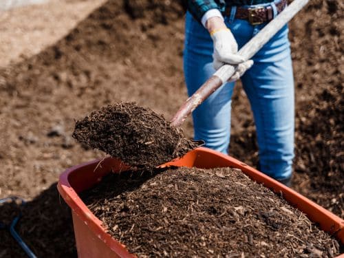 Mulch Installation in Tampa