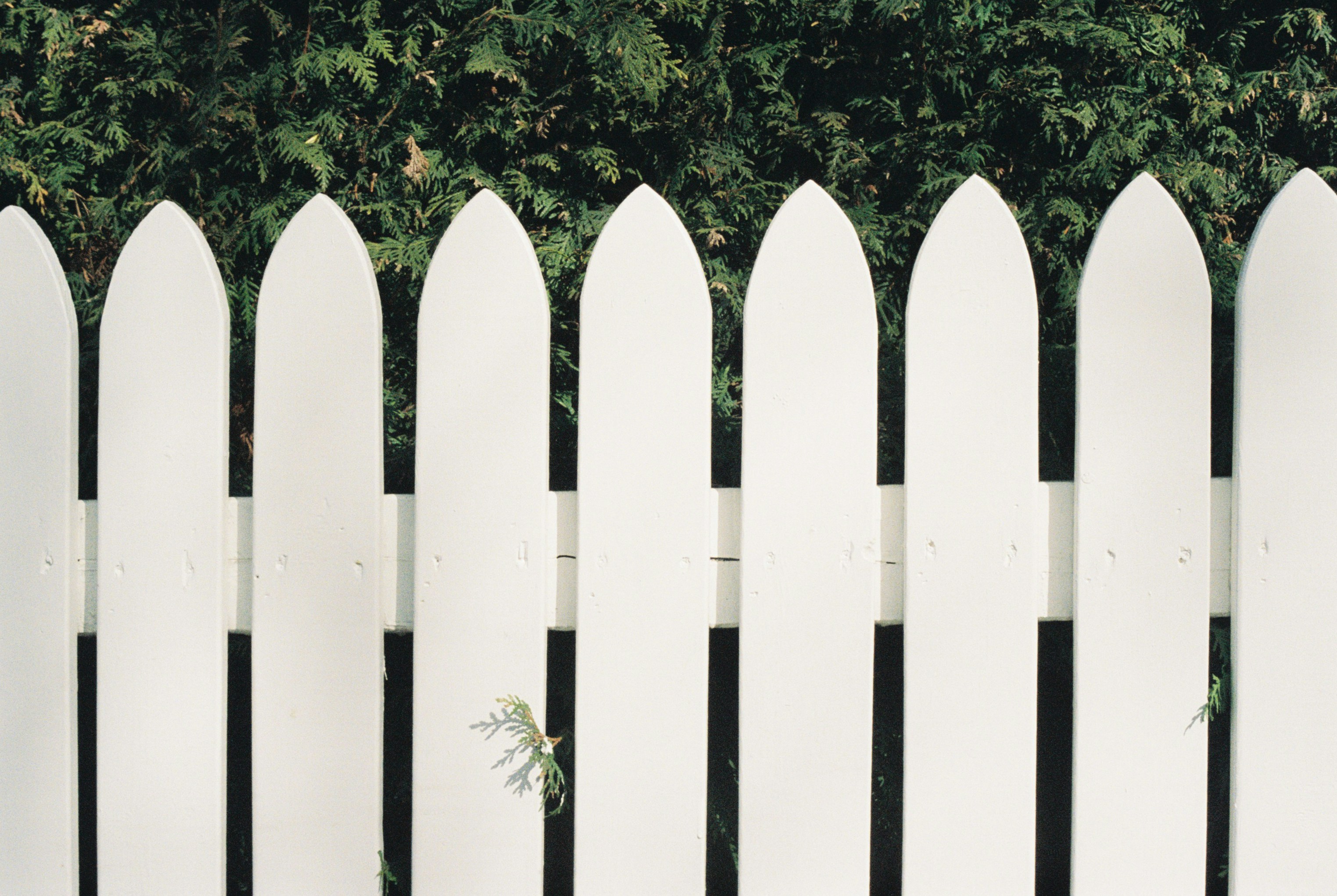 Littleton Nc Fencing