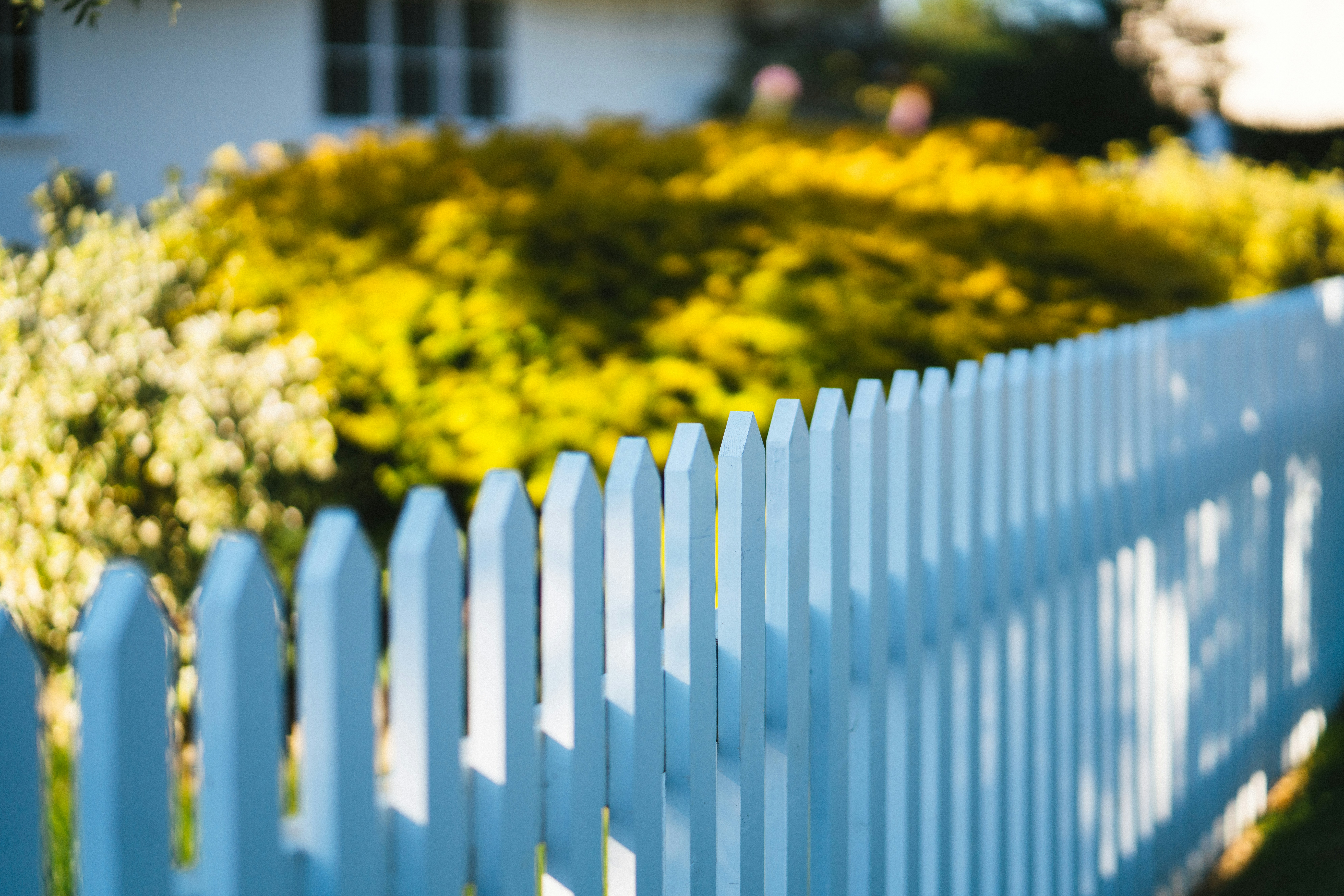 Fencing in Wake Forest Nc