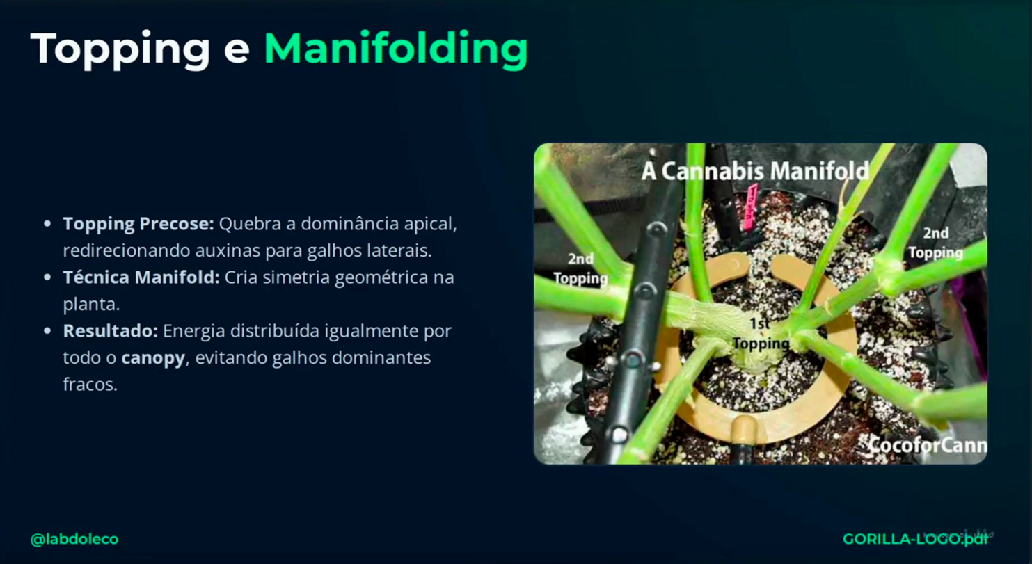 Treinamento