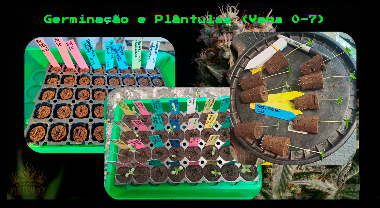 Phenohunting