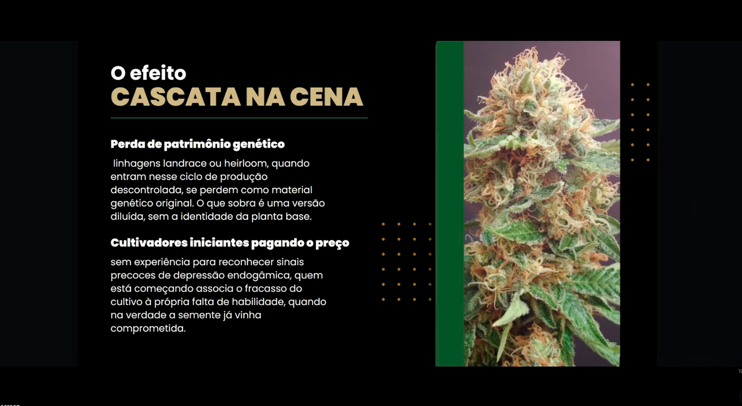 Importar Genéticas