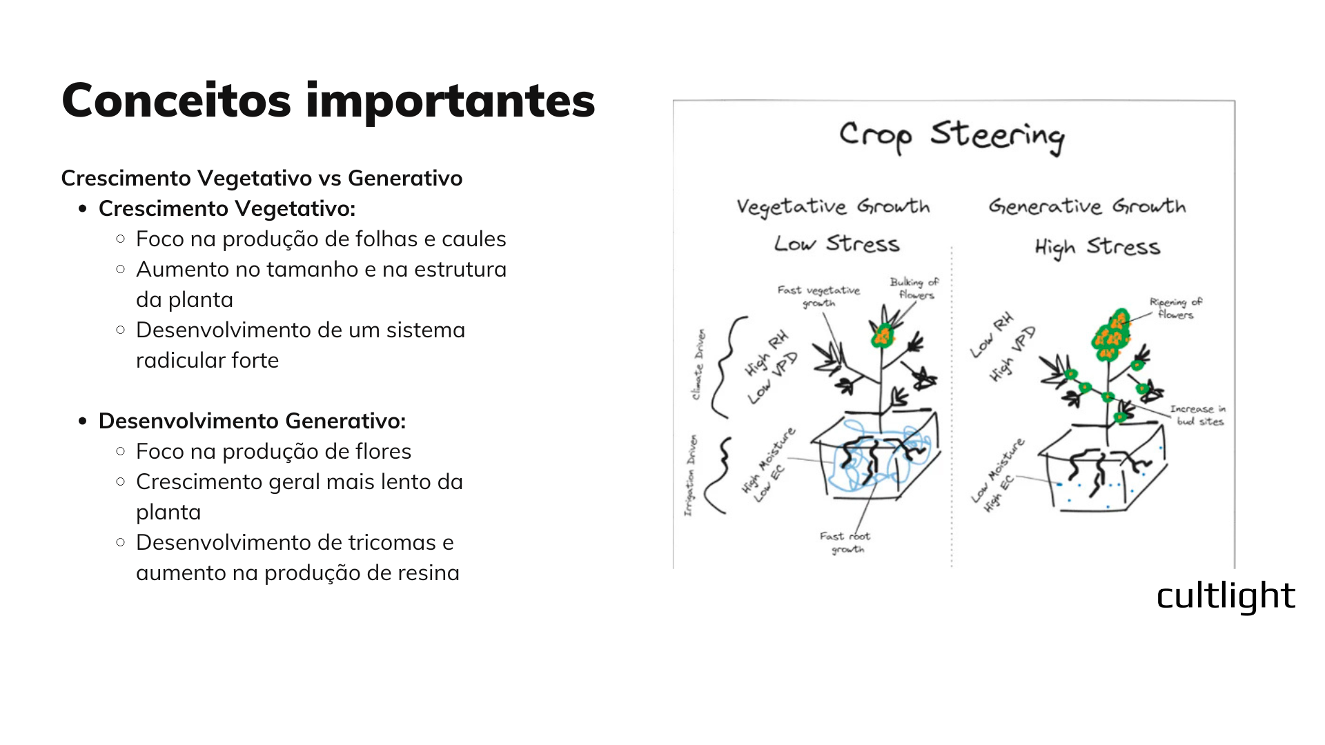 Super-Aula