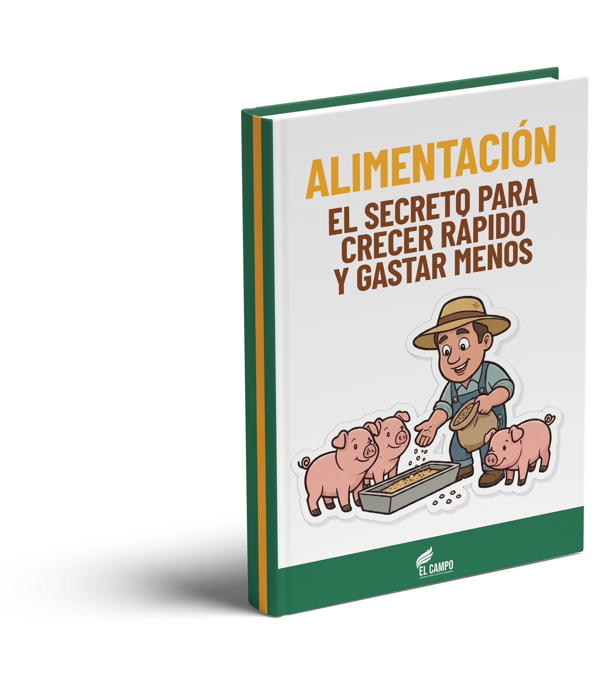 Módulo 3