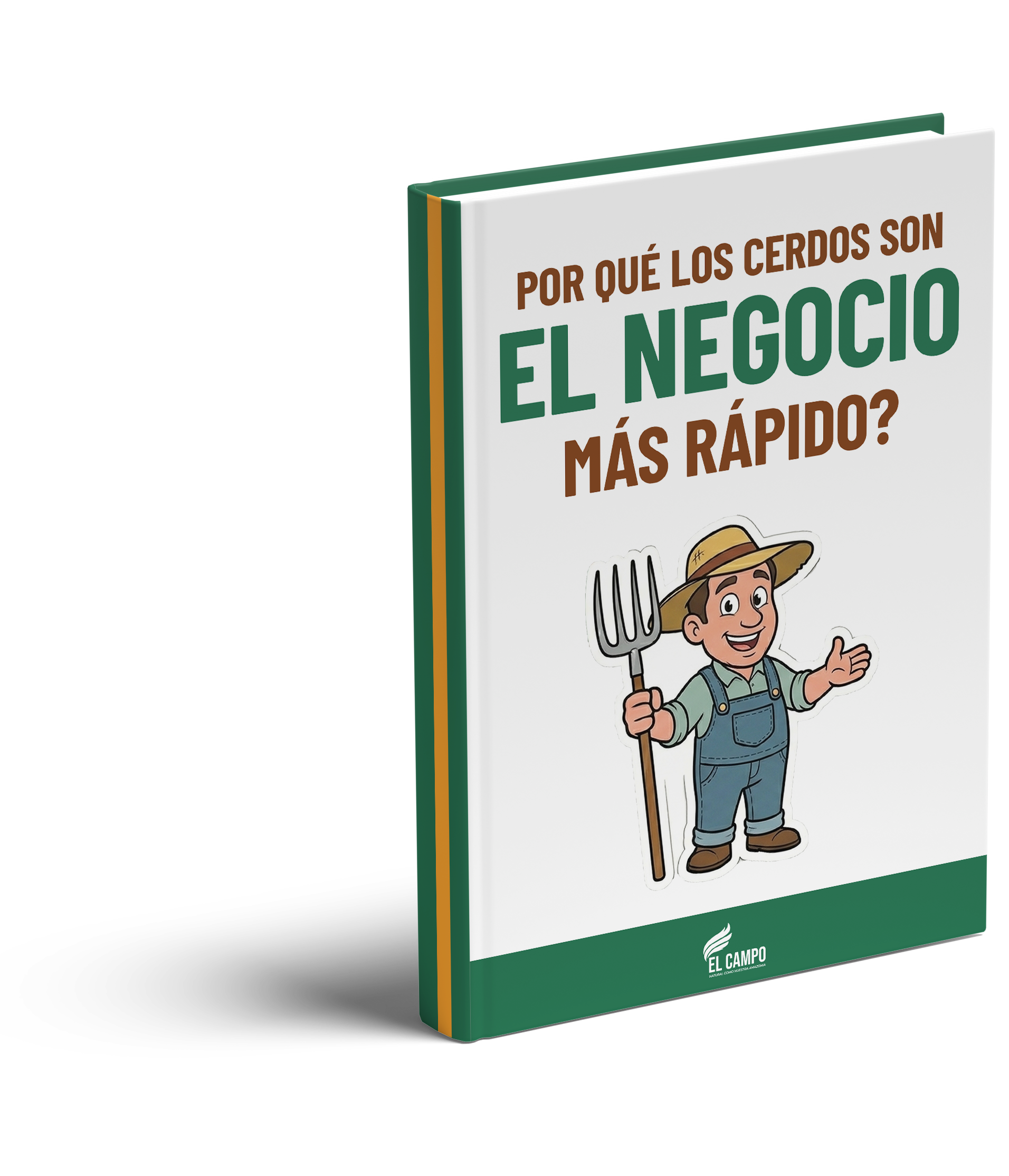 Módulo 1