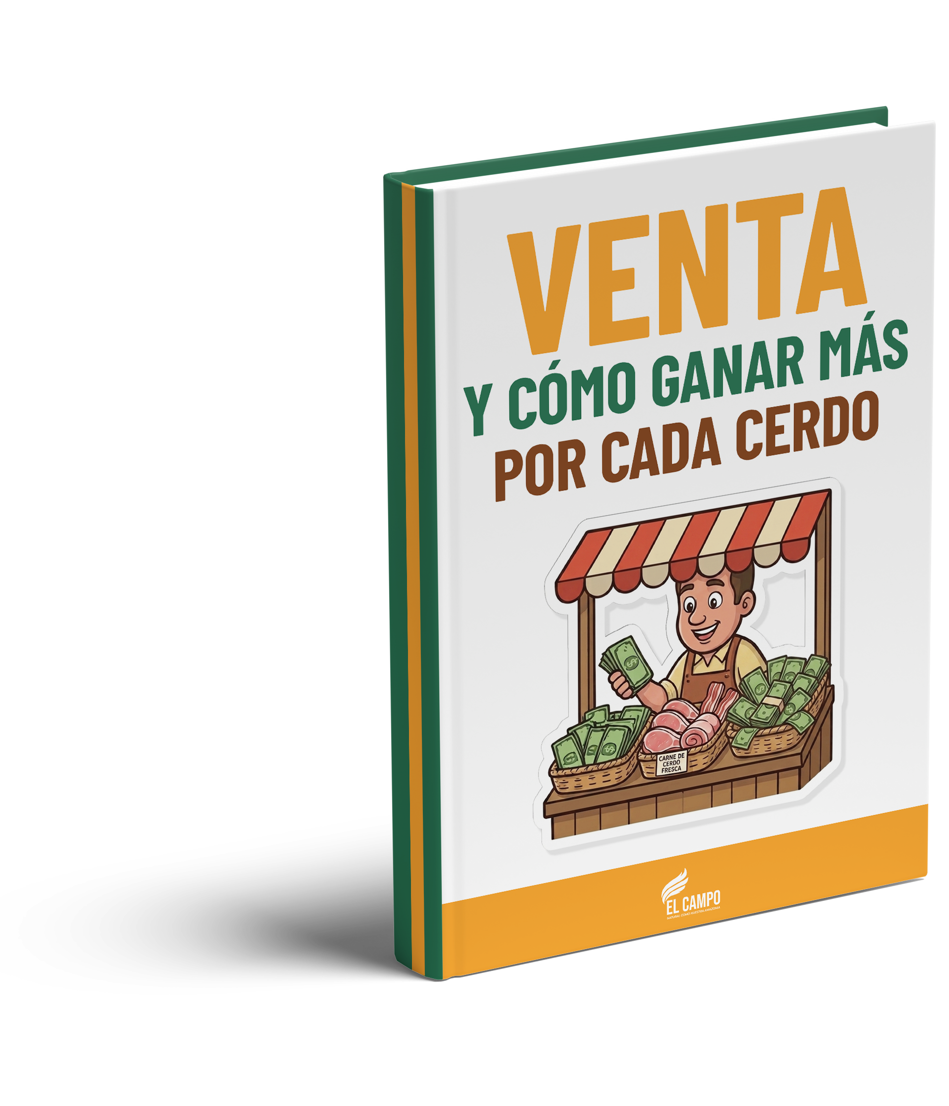 Módulo 5