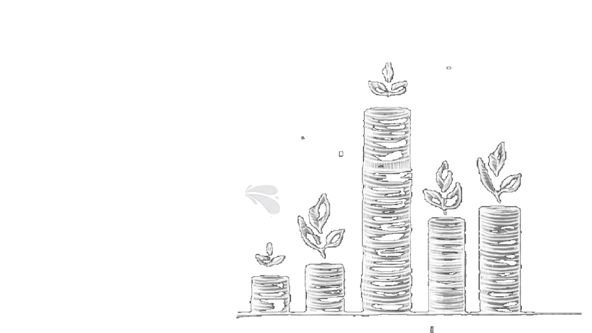 Money Coaching