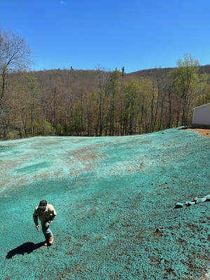 {{ custom_values.service_3 }} in {{custom_values.area_6})