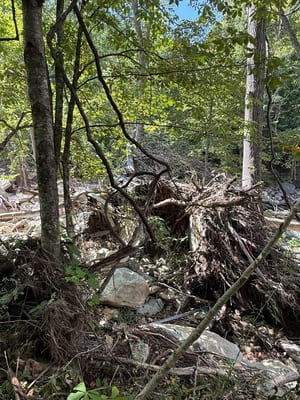 {{ custom_values.service_3 }} in {{custom_values.area_7})