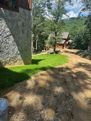 {{ custom_values.service_3 }} in {{custom_values.area_7})