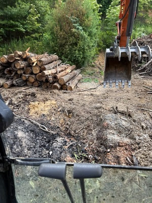 {{ custom_values.service_1 }} in {{custom_values.area_7})