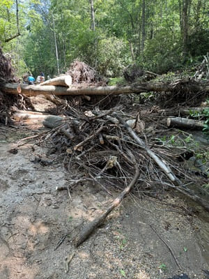 {{ custom_values.service_1 }} in {{custom_values.area_7})