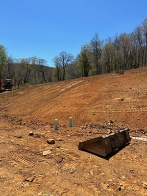 {{ custom_values.service_1 }} in {{custom_values.area_6})