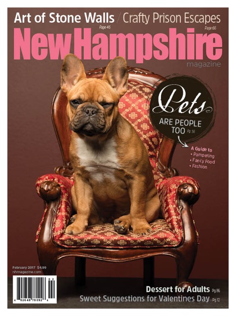 The cover of New Hampshire Magazine featuring a tan frenchie french bulldog siting on a re ornate dolls chair with a cute expression by Kimberly Sarah Photography