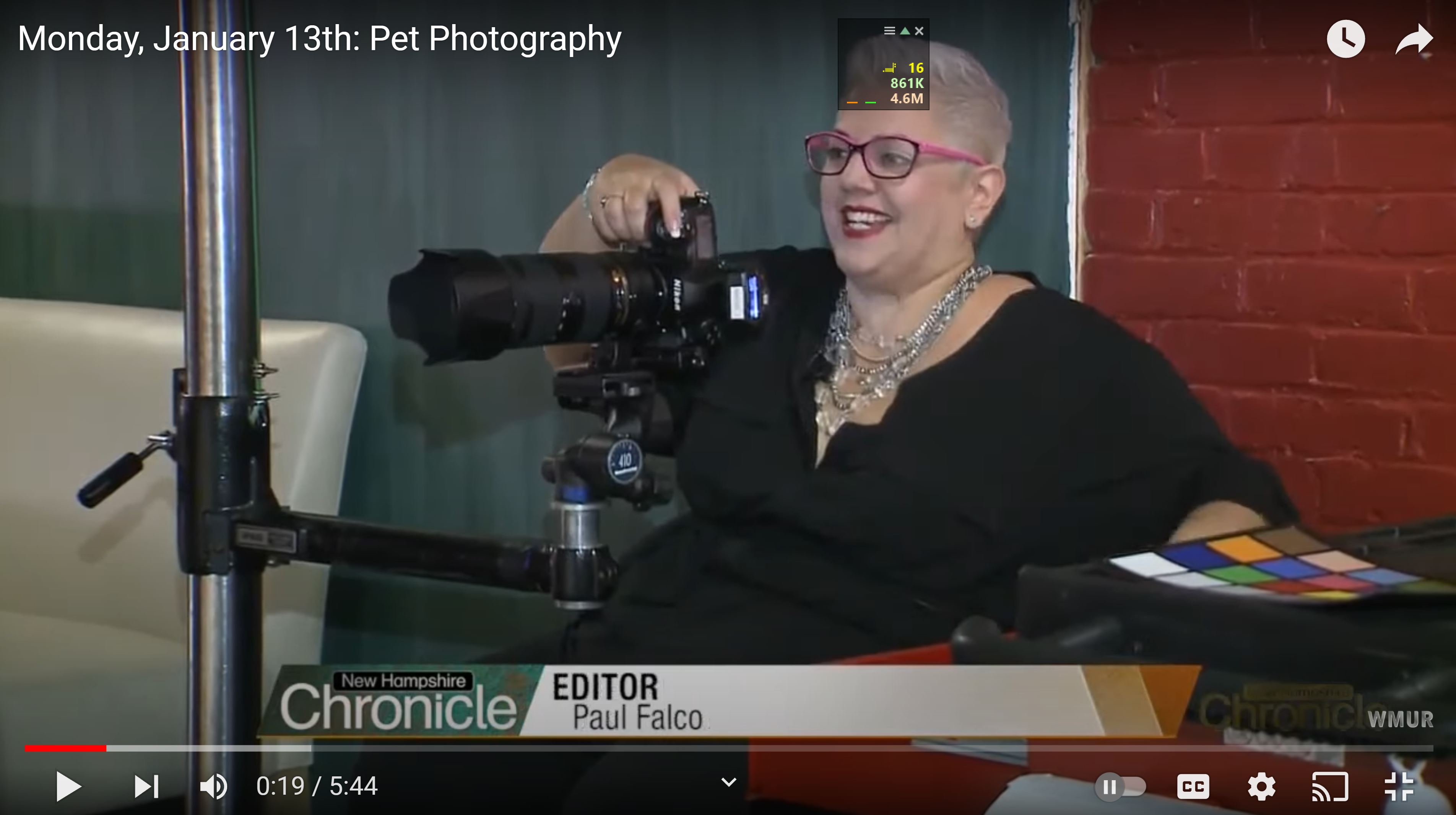 Kimberly Buccheri on youtube New Hampshire Chronicle Pet Photographer segment