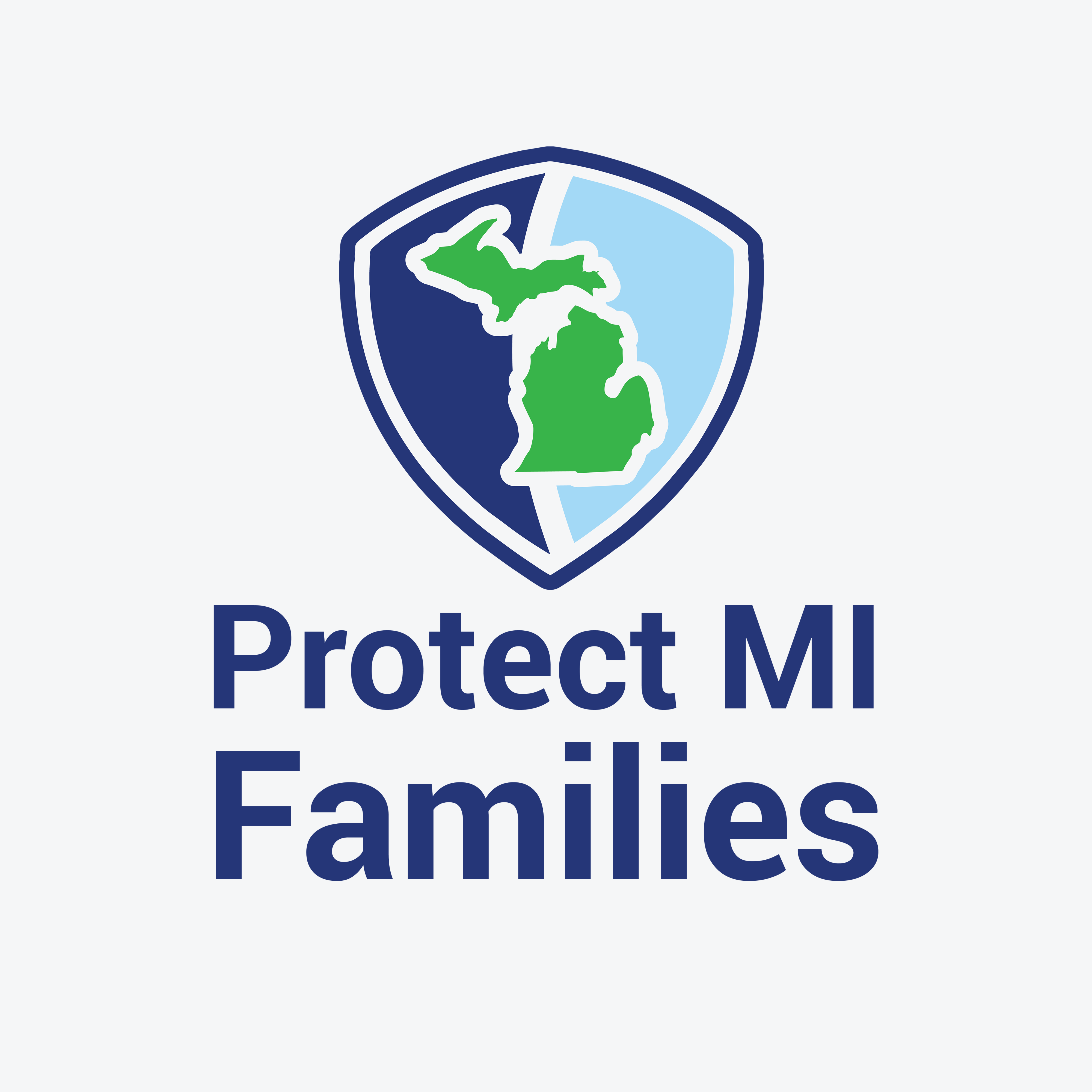 Protect MI Families is a nonpartisan advocacy organization dedicated to protecting Michigan consumers and holding corporations accountable when they harm families. We fight for fair insurance practices, accountability for corporate negligence, and justice for those injured by dangerous products.