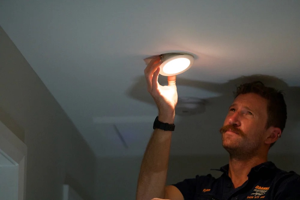 Goanna Electrical lighting