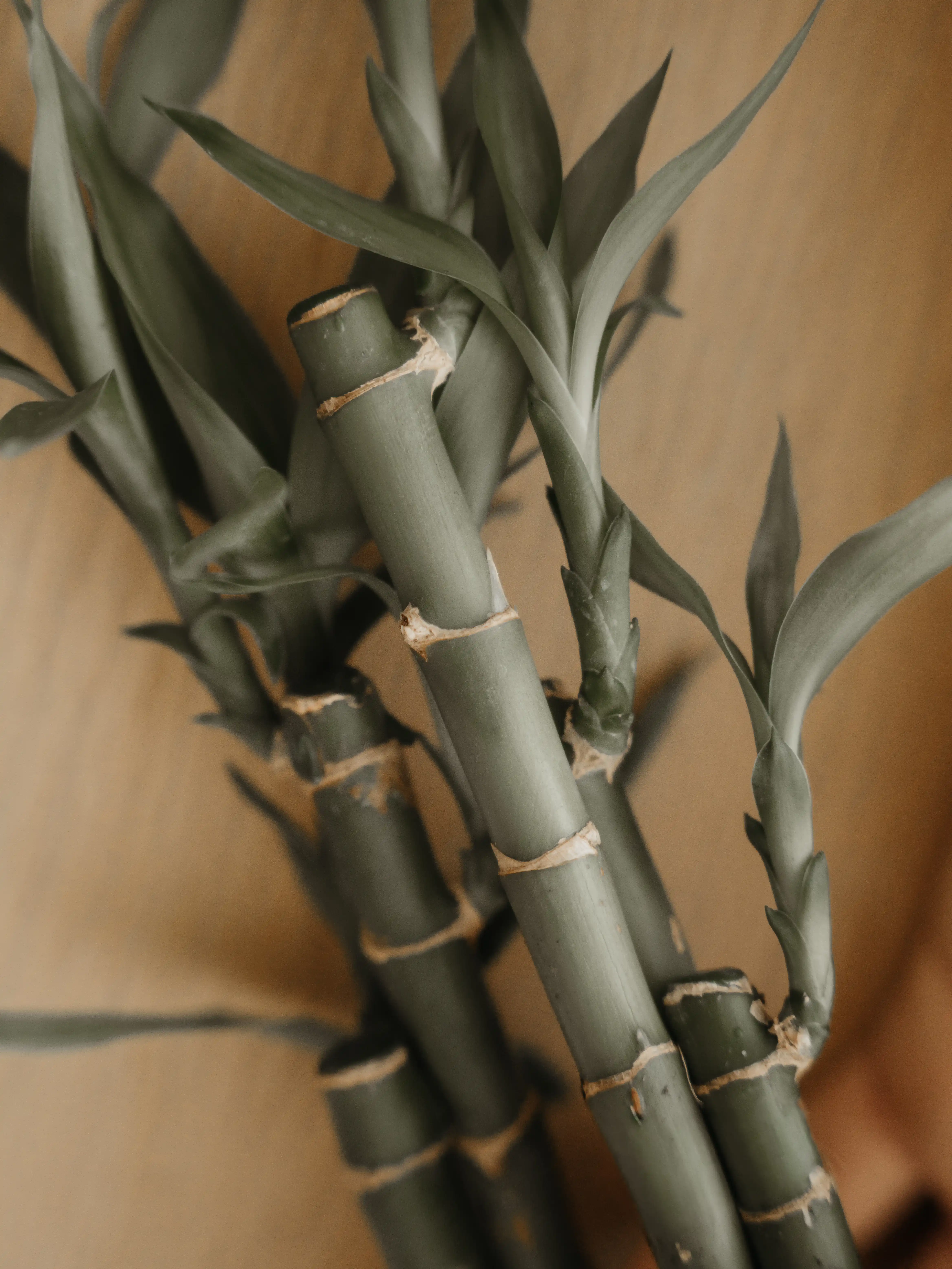 Schmerztherapie Regenburg - Soforthilfe, individuelle Behandlung