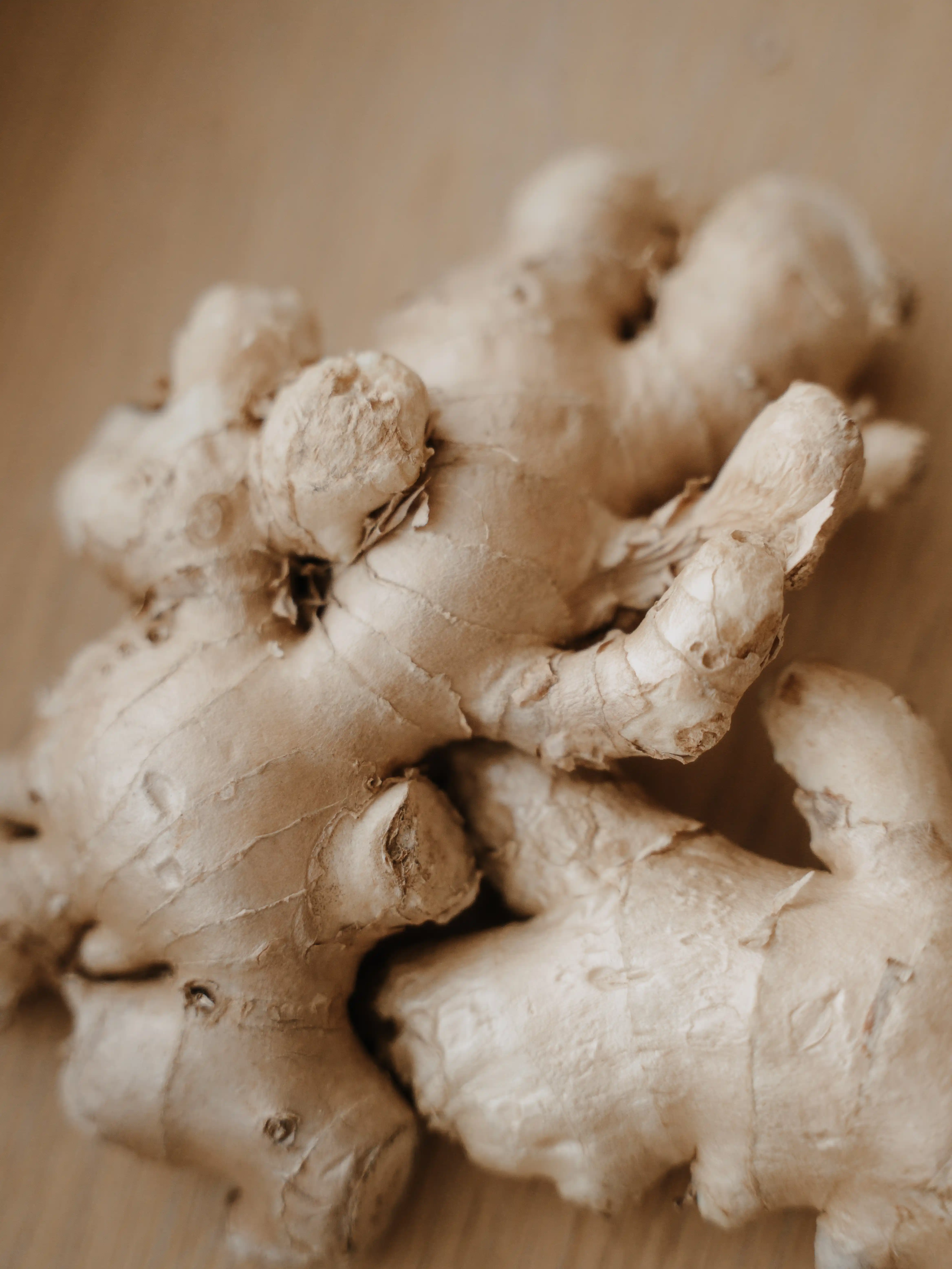 cinisi Regensburg - Energie, Fokus, klarer Kopf