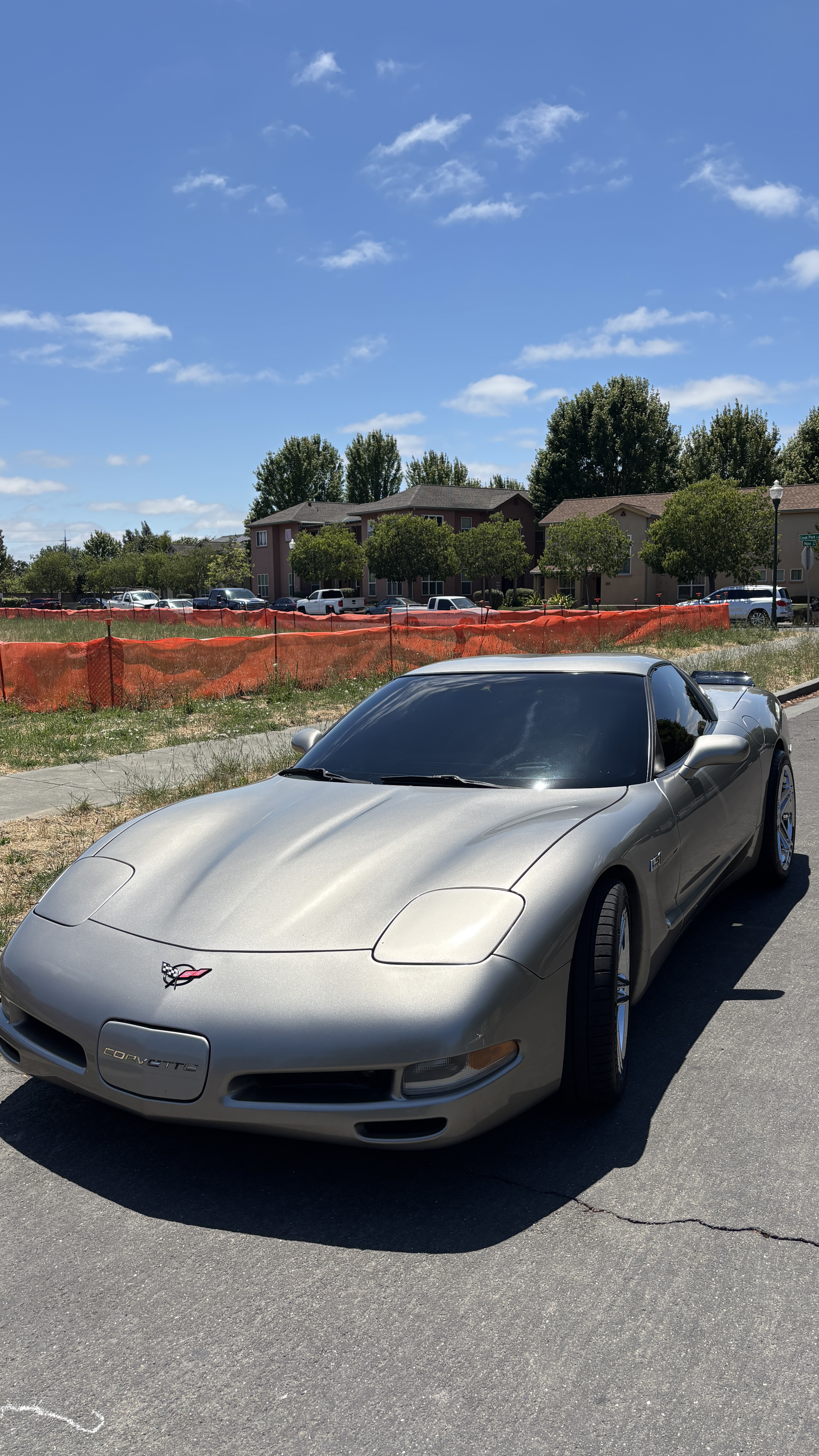Wine Country Tint Work 2