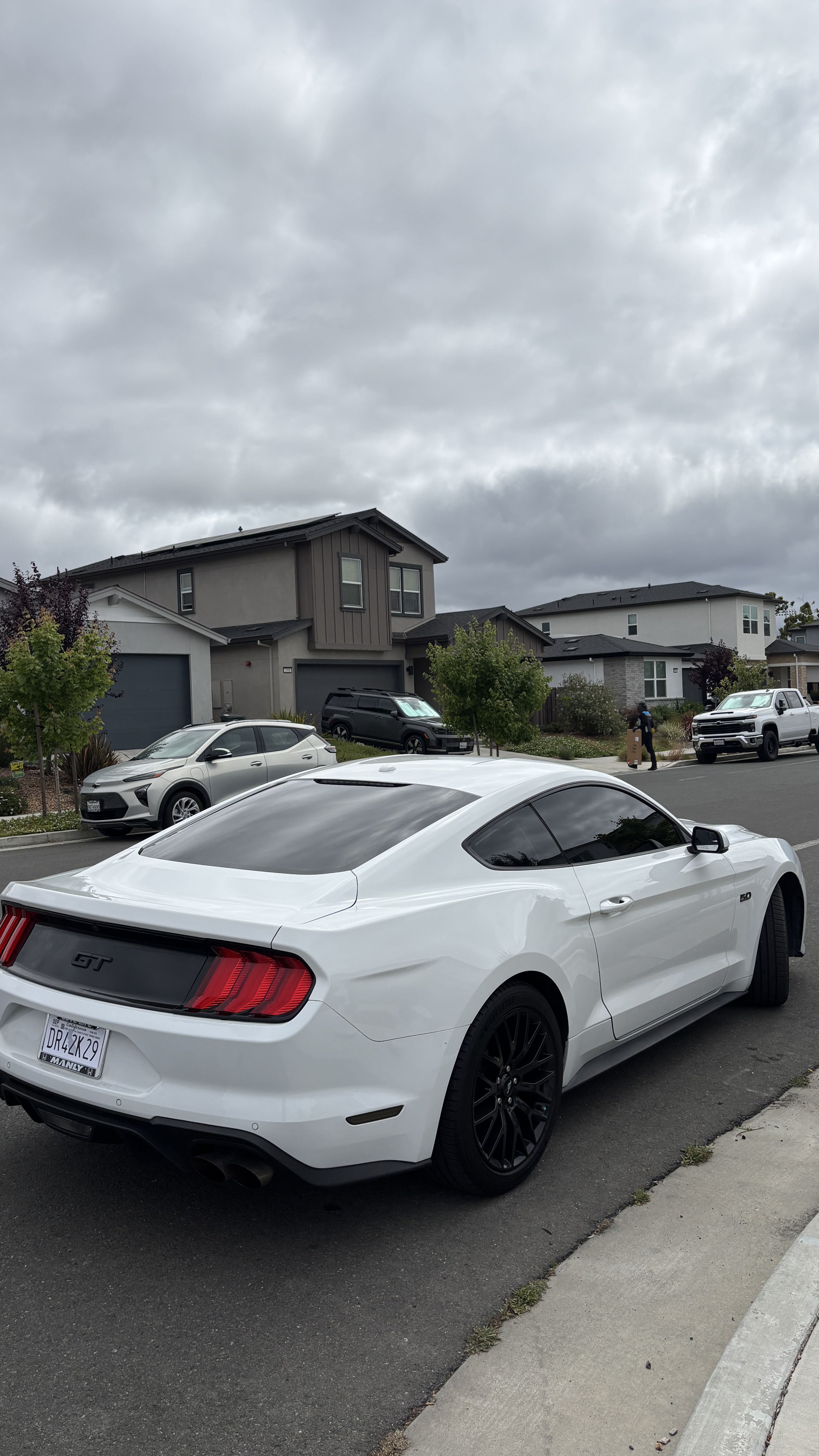 Wine Country Tint Work 3