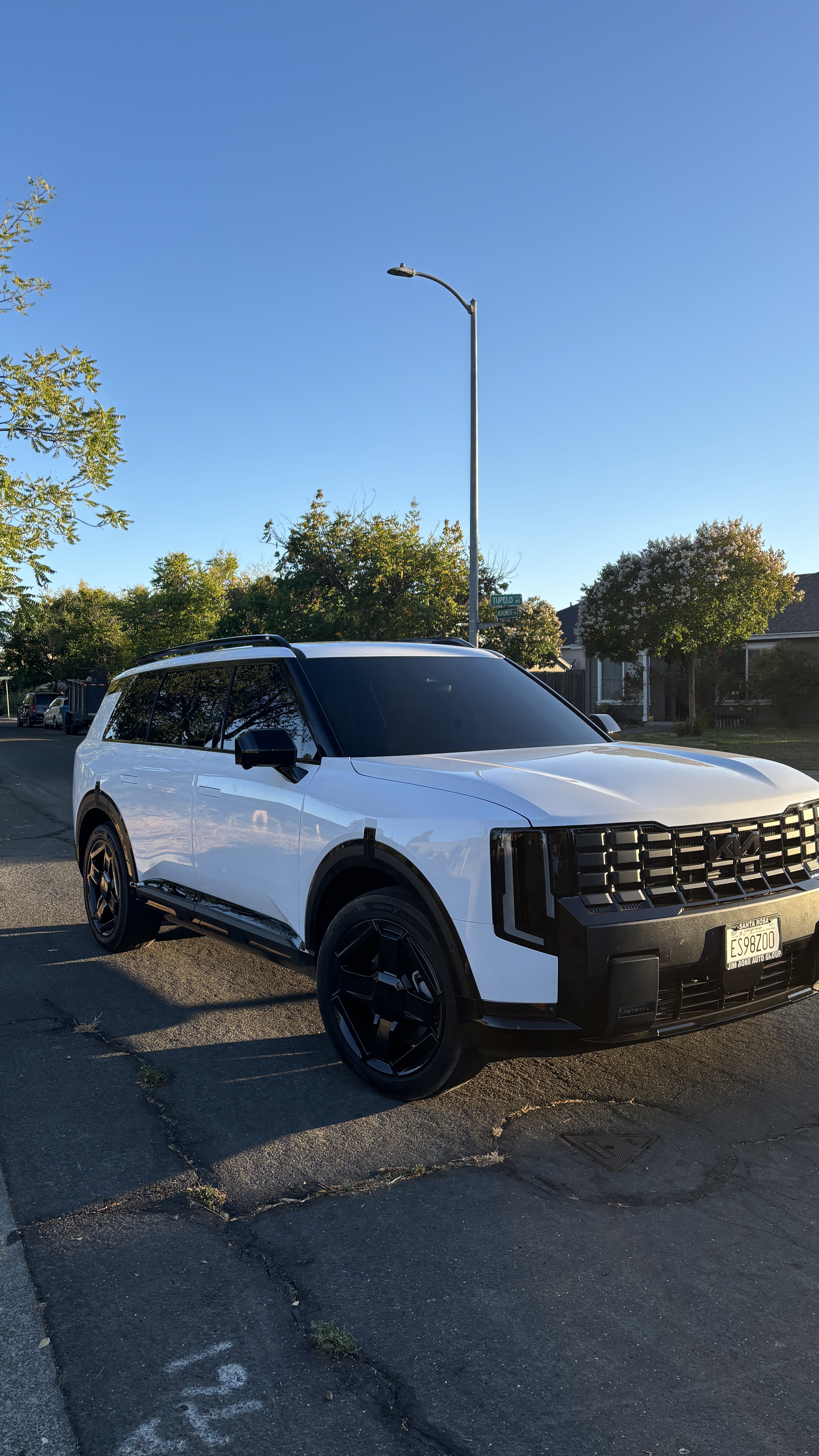 Wine Country Tint Work 1