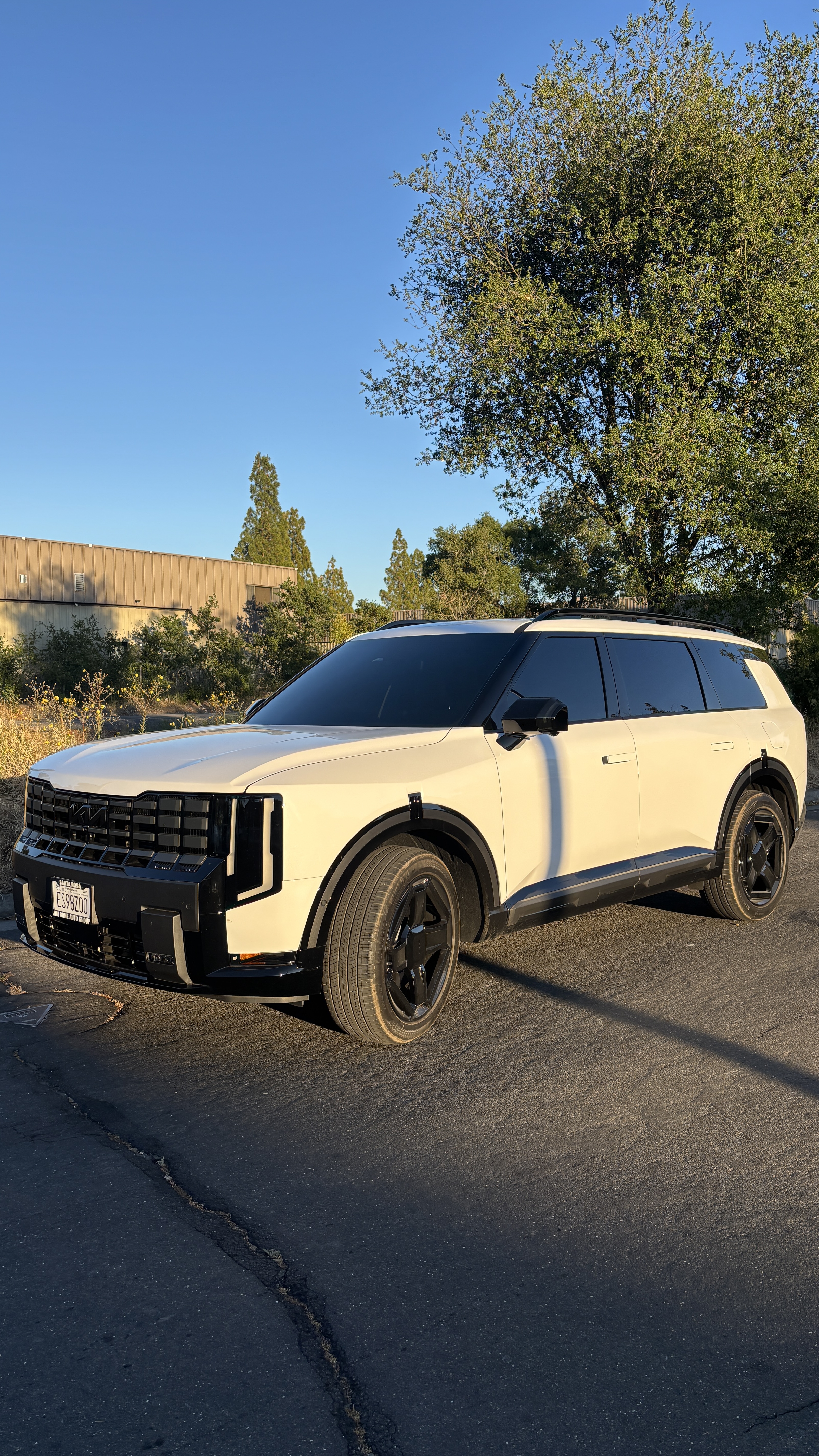 Wine Country Tint Work 5