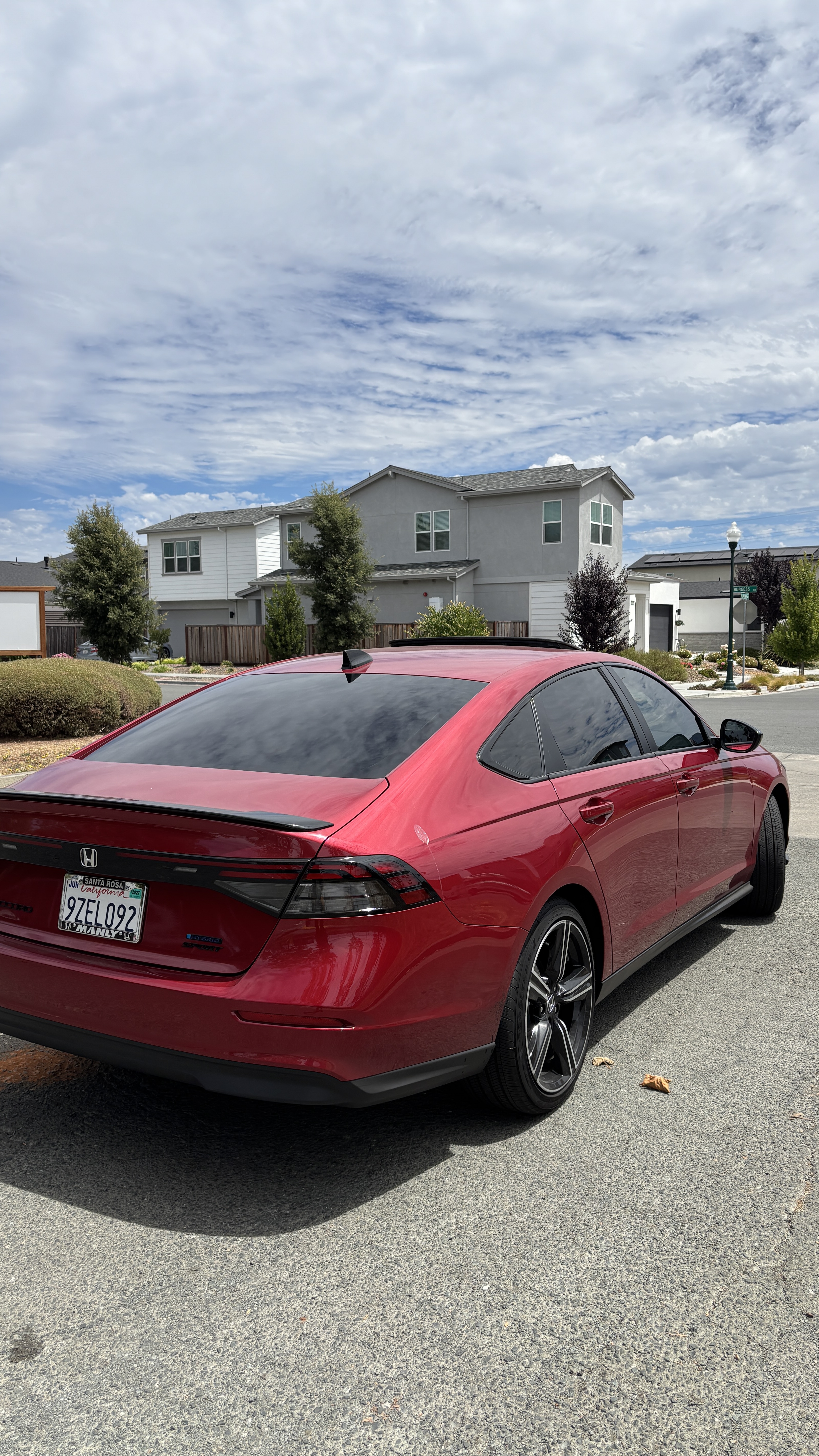 Wine Country Tint Work 6