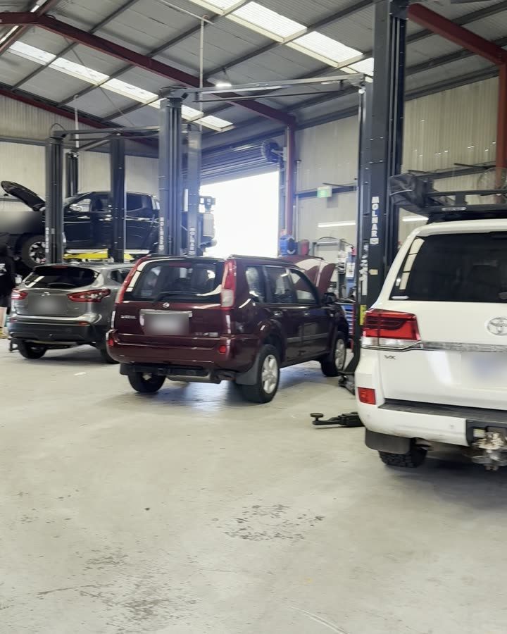 Cars on the hoists in an auto repair shop