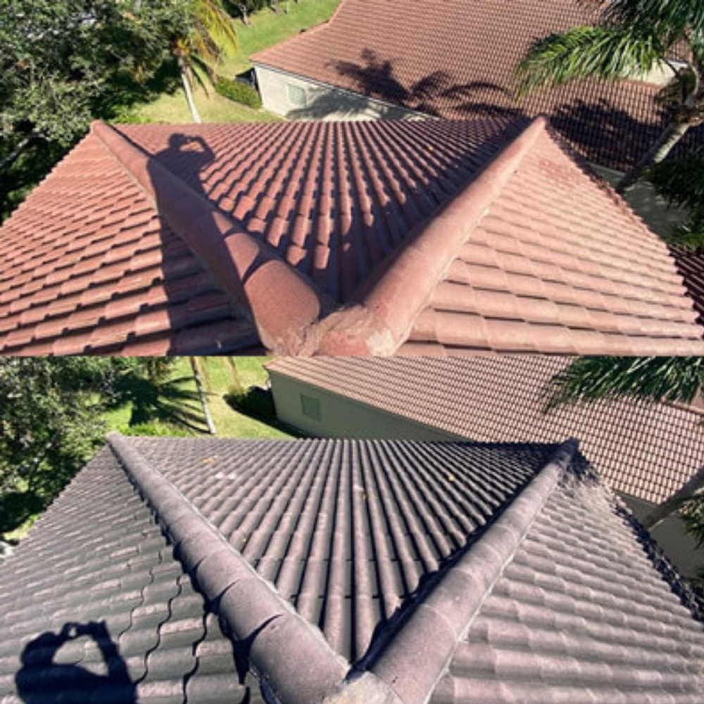 Black streaks on roof from algae