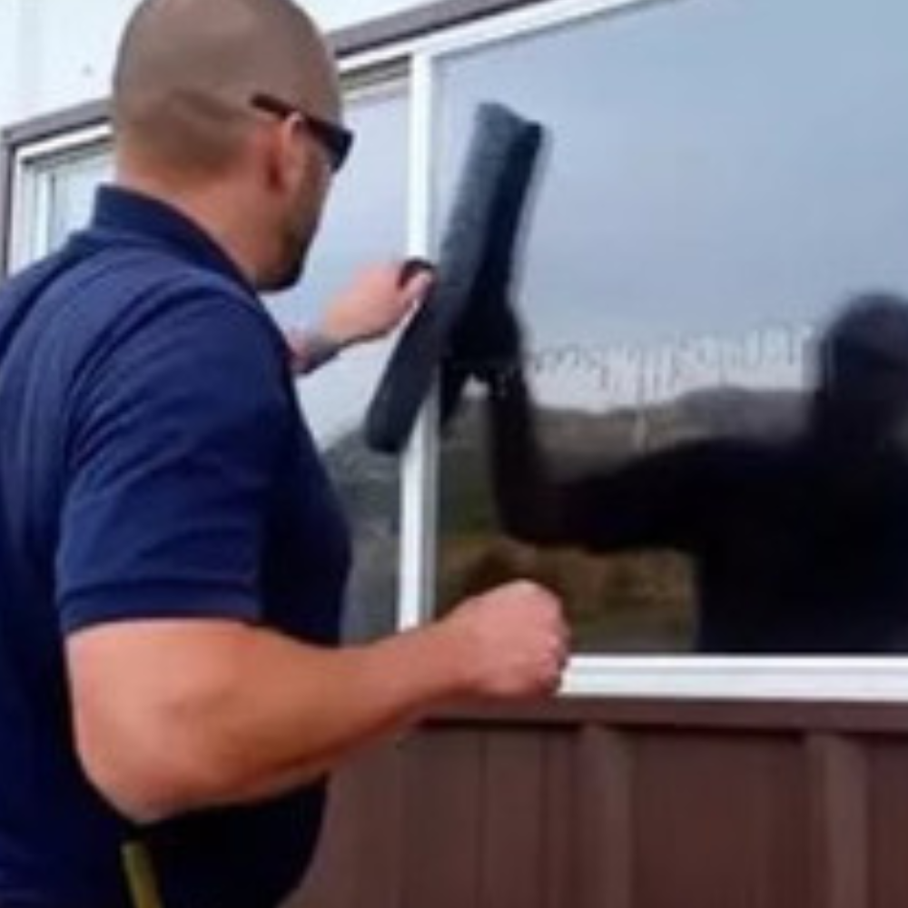 Window cleaning