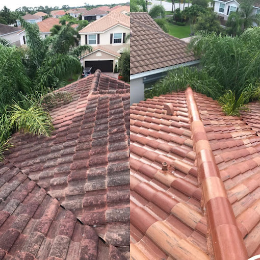 Roof cleaning result Parkland FL