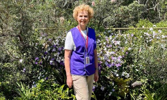 Cheryl Courtice