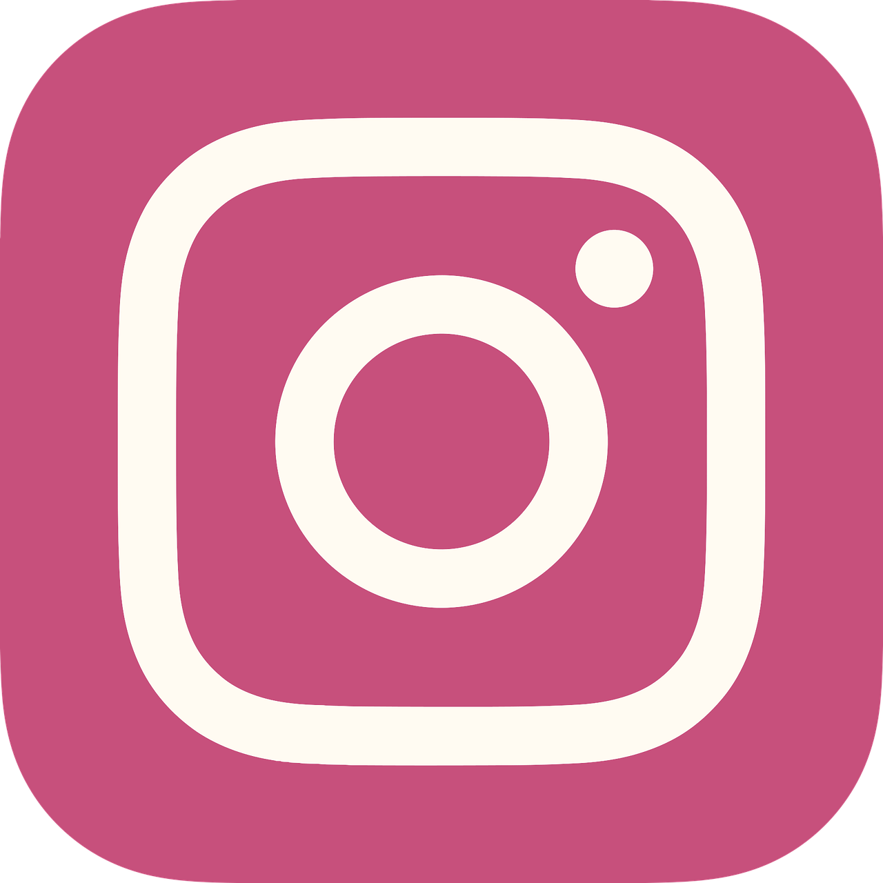 Instagram Profile