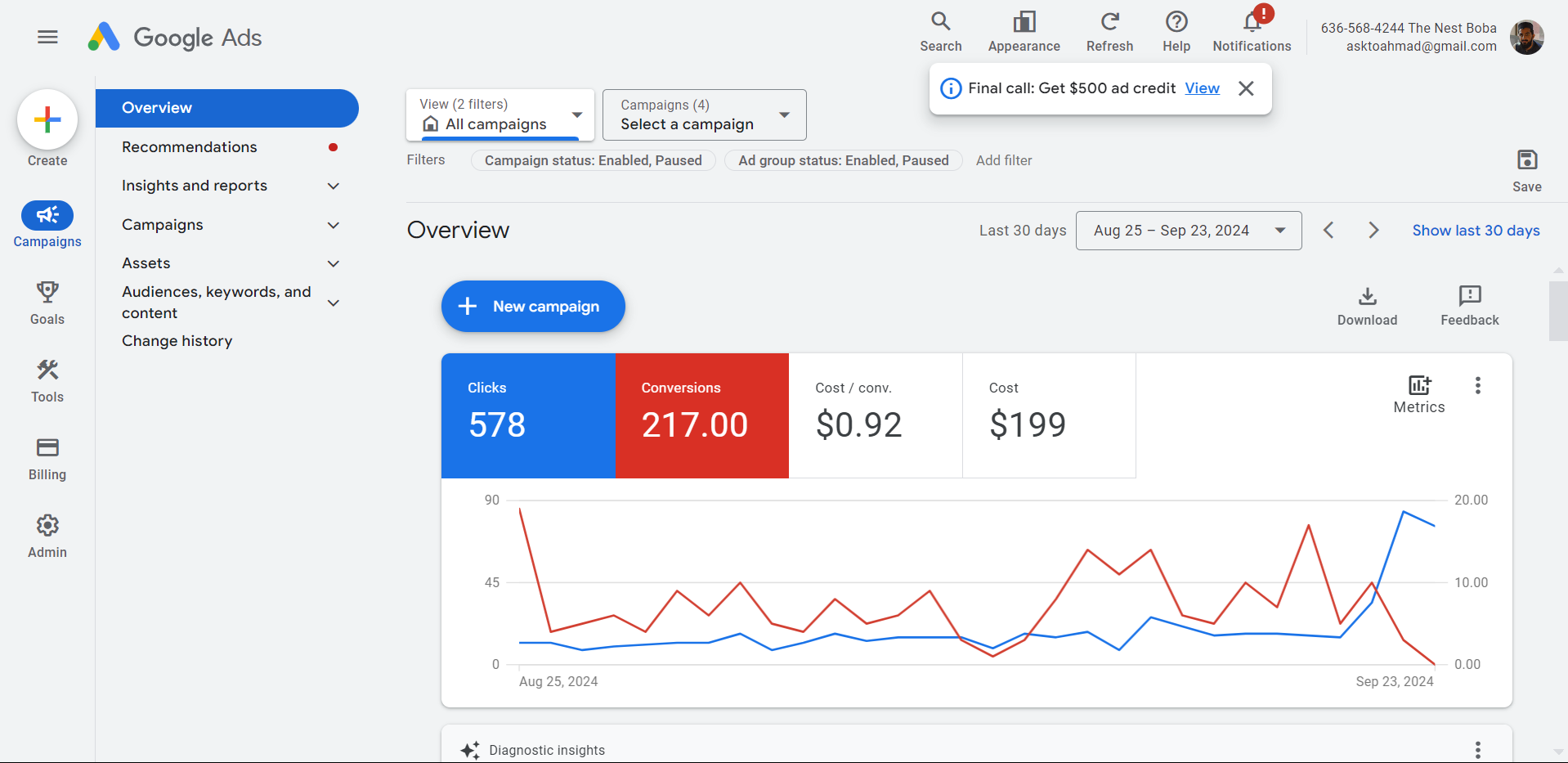 Sanitized Google campaign screenshot