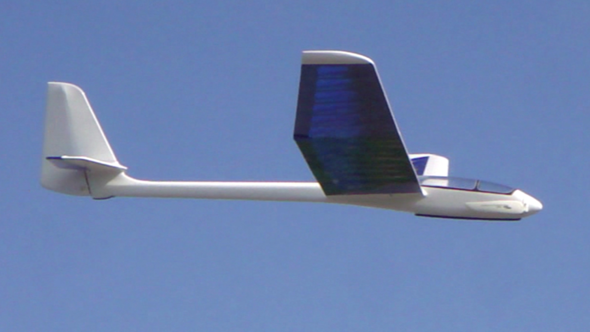 99-inch Lee Renaud Aquila giant-scale RC sailplane glider