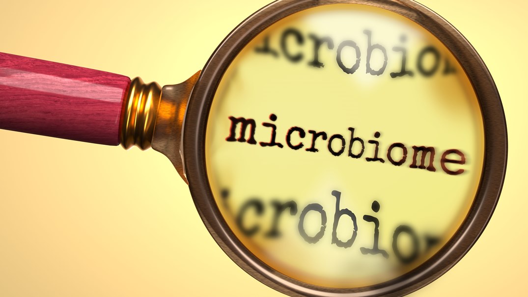 How Often Should I Take a Microbiome Test? Expert Guide