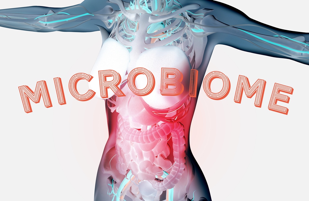 The Microbiome & Your Immune System