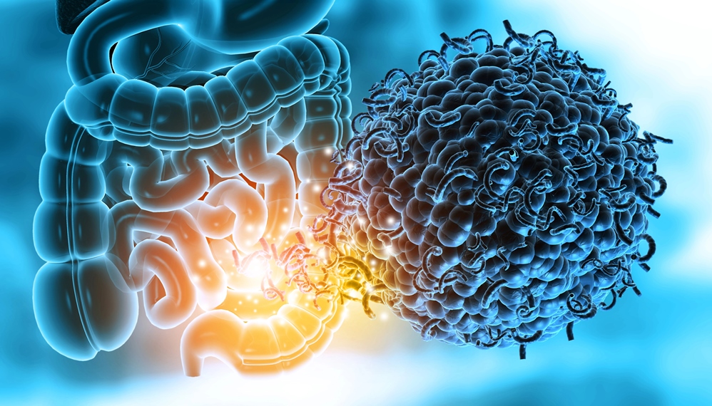 The Gut-Skin Axis: How Gut Health Affects Acne, Eczema & Rosacea