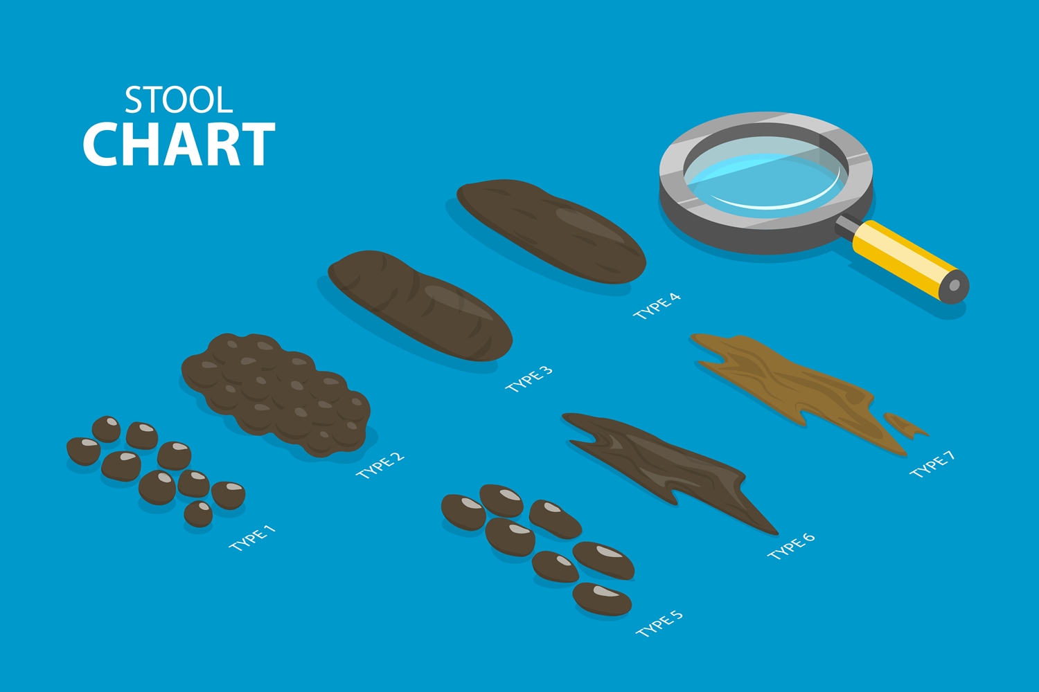 What Your Stool Says About Your Gut