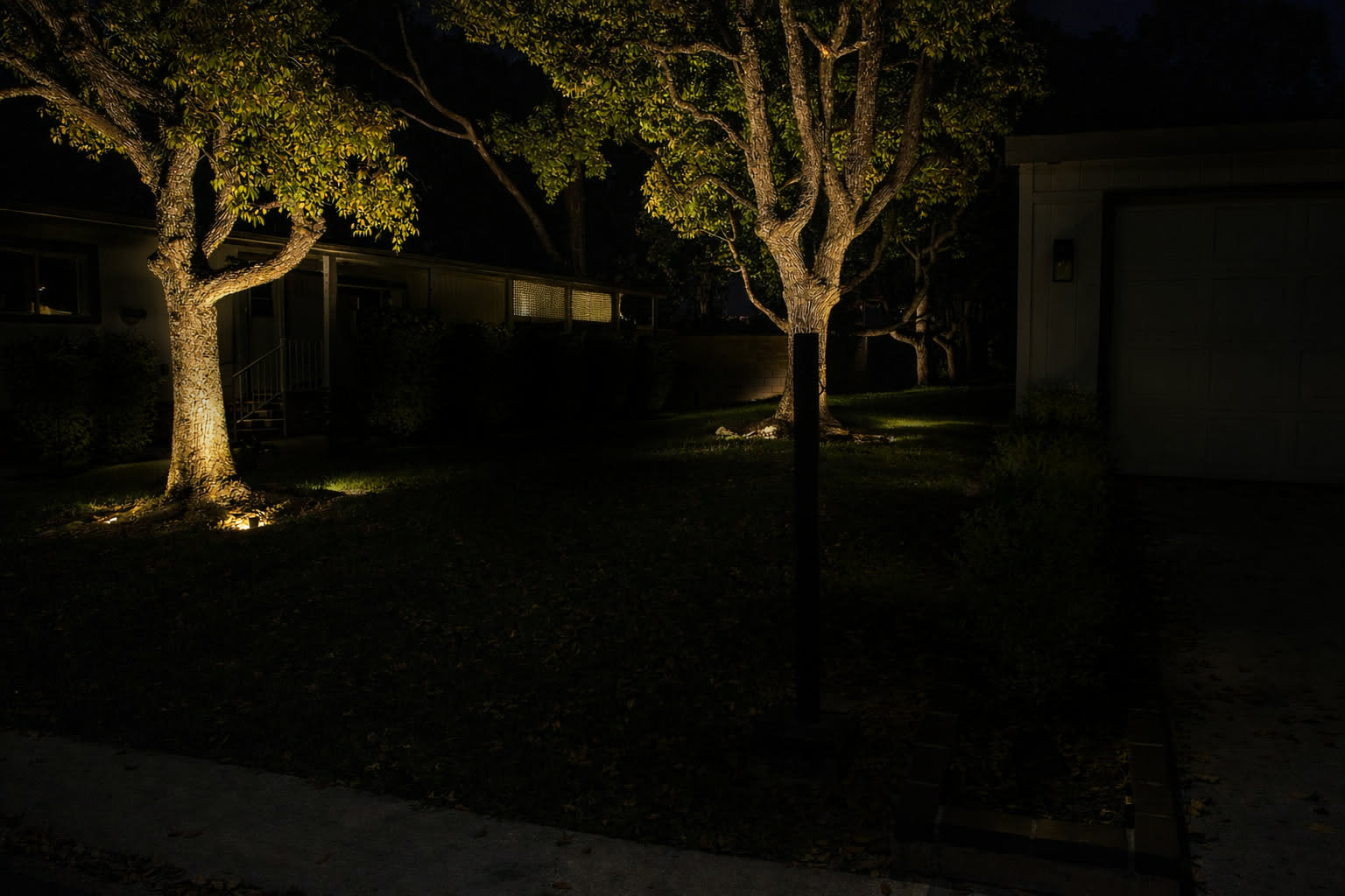 Warm uplights illuminating mature trees beside a garden path