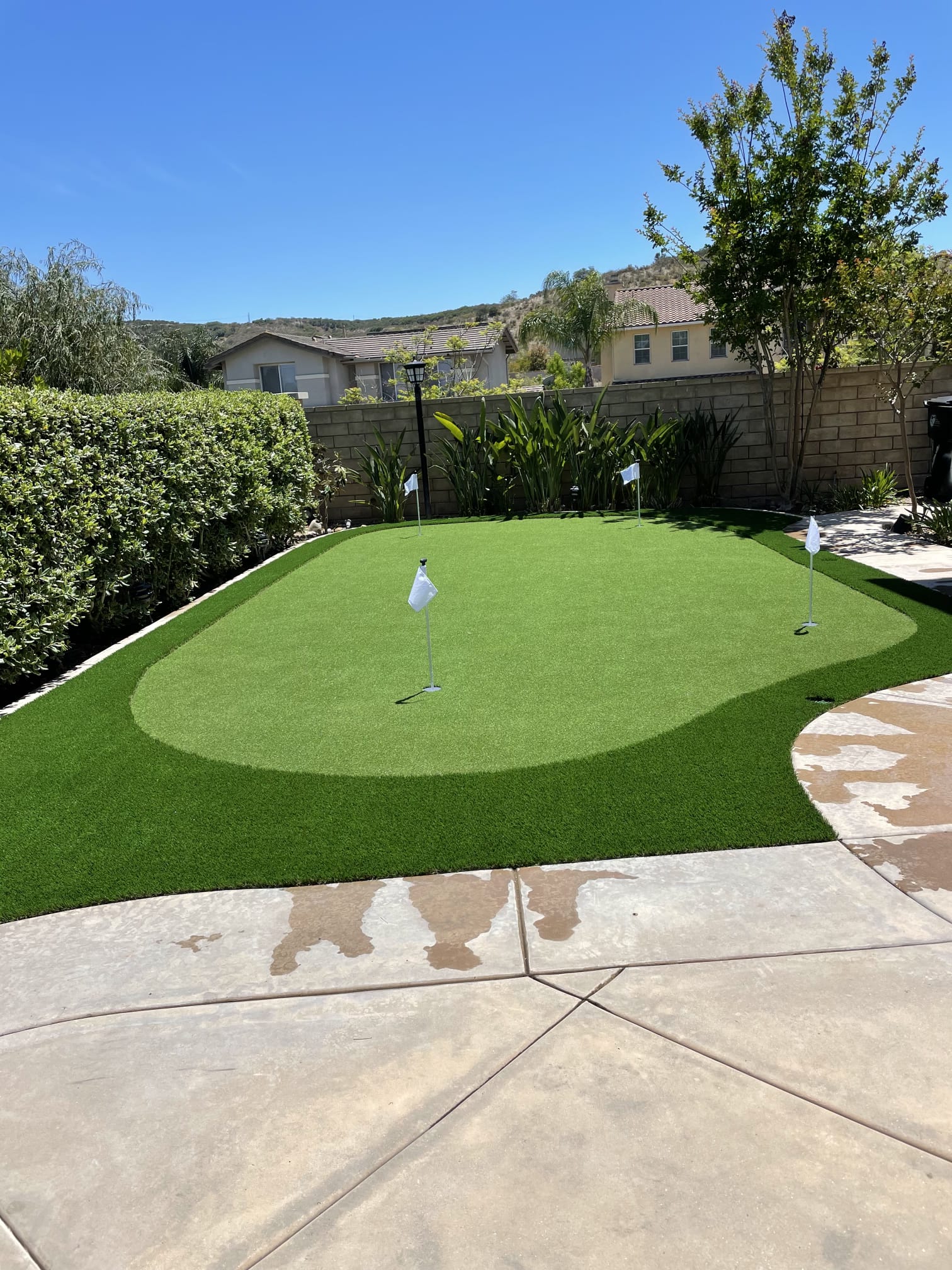 Compact backyard putting green installation with cup and turf fringe